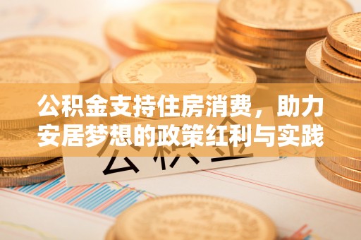 麦寮公积金支持住房消费，助力安居梦想的政策红利与实践