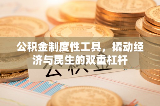 麦寮公积金制度性工具，撬动经济与民生的双重杠杆