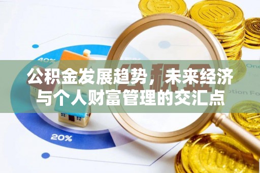麦寮公积金发展趋势，未来经济与个人财富管理的交汇点