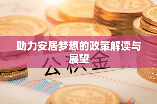 麦寮助力安居梦想的政策解读与展望