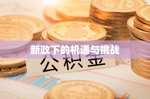 麦寮新政下的机遇与挑战