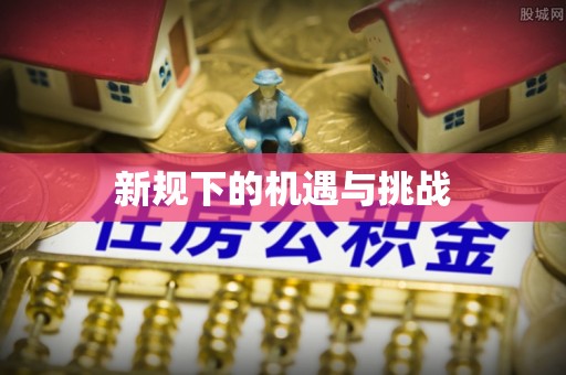 麦寮新规下的机遇与挑战