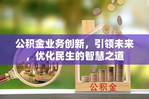 麦寮公积金业务创新，引领未来，优化民生的智慧之道