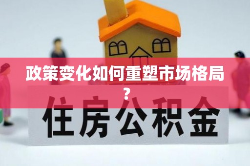 麦寮政策变化如何重塑市场格局？