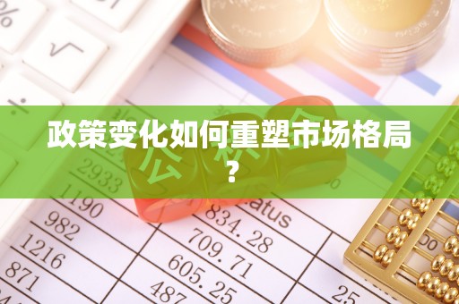 麦寮政策变化如何重塑市场格局？