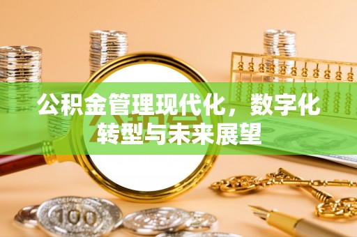 麦寮公积金管理现代化，数字化转型与未来展望