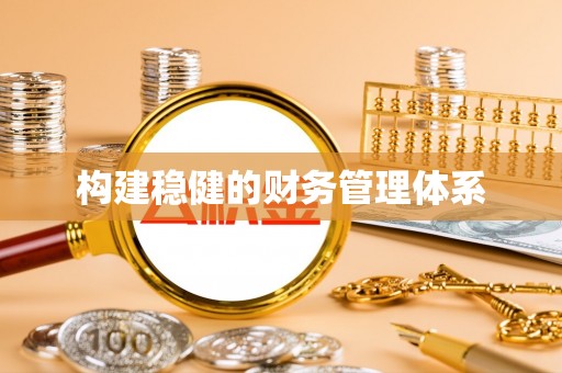 麦寮构建稳健的财务管理体系