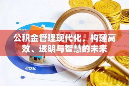 麦寮公积金管理现代化，构建高效、透明与智慧的未来