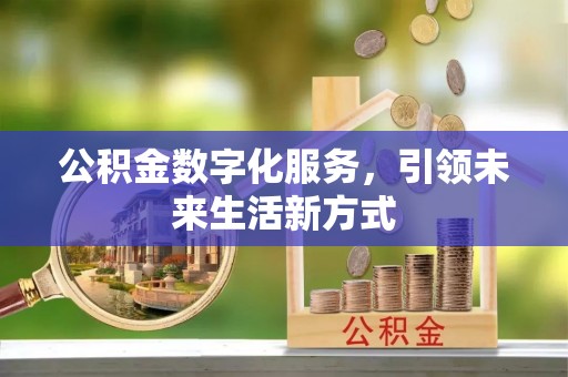 麦寮公积金数字化服务，引领未来生活新方式