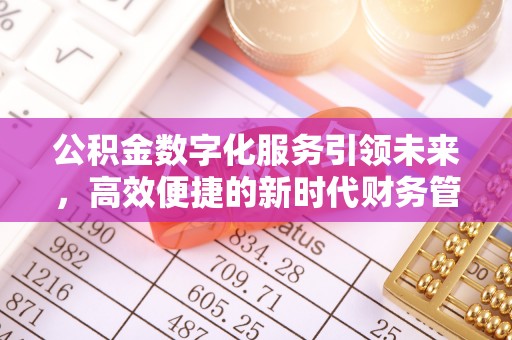 麦寮公积金数字化服务引领未来，高效便捷的新时代财务管理