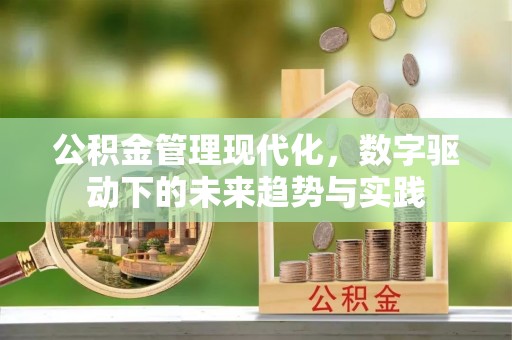 麦寮公积金管理现代化，数字驱动下的未来趋势与实践