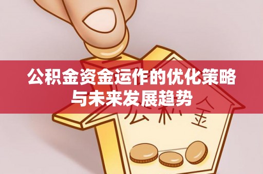 麦寮公积金资金运作的优化策略与未来发展趋势