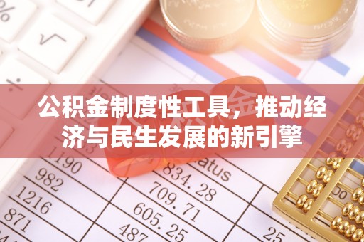 麦寮公积金制度性工具，推动经济与民生发展的新引擎