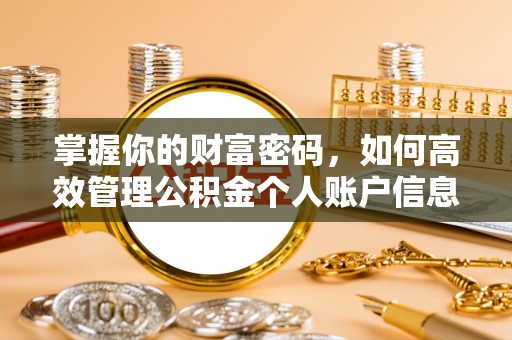 麦寮掌握你的财富密码，如何高效管理公积金个人账户信息