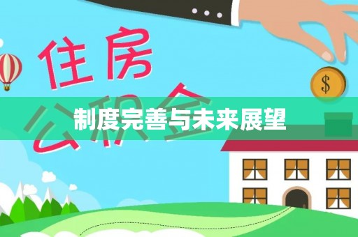 麦寮制度完善与未来展望