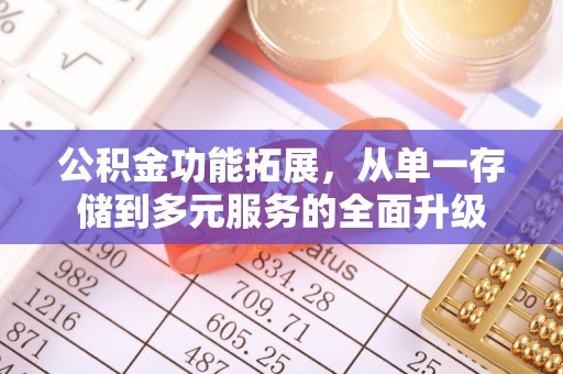 麦寮公积金功能拓展，从单一存储到多元服务的全面升级