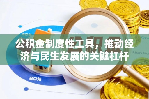 麦寮公积金制度性工具，推动经济与民生发展的关键杠杆