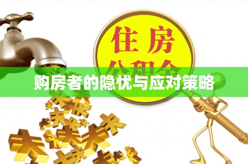 麦寮购房者的隐忧与应对策略