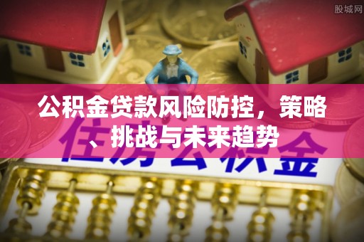 麦寮公积金贷款风险防控，策略、挑战与未来趋势