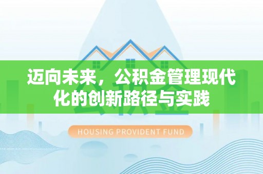 麦寮迈向未来，公积金管理现代化的创新路径与实践