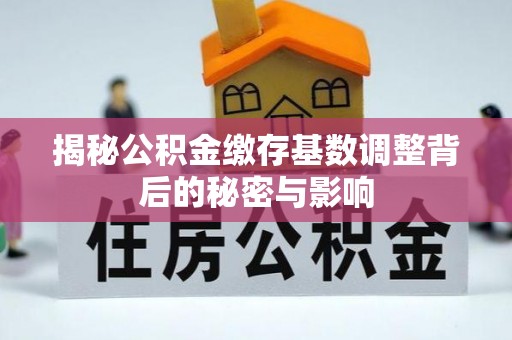 麦寮揭秘公积金缴存基数调整背后的秘密与影响