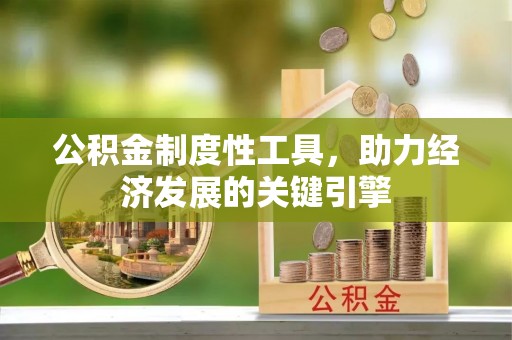麦寮公积金制度性工具，助力经济发展的关键引擎