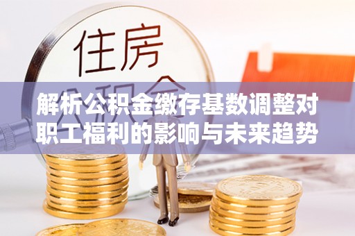 麦寮解析公积金缴存基数调整对职工福利的影响与未来趋势