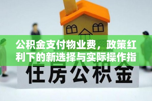麦寮公积金支付物业费，政策红利下的新选择与实际操作指南