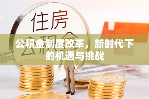 麦寮公积金制度改革，新时代下的机遇与挑战