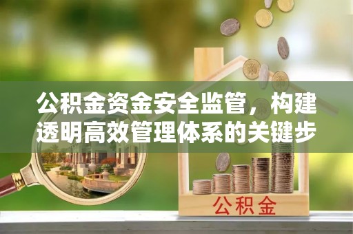麦寮公积金资金安全监管，构建透明高效管理体系的关键步骤