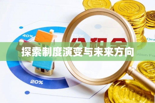 麦寮探索制度演变与未来方向