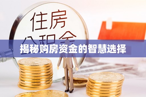 麦寮揭秘购房资金的智慧选择