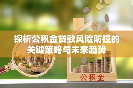 麦寮探析公积金贷款风险防控的关键策略与未来趋势