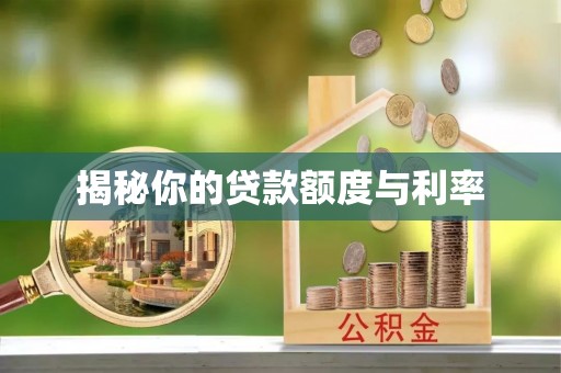 麦寮揭秘你的贷款额度与利率