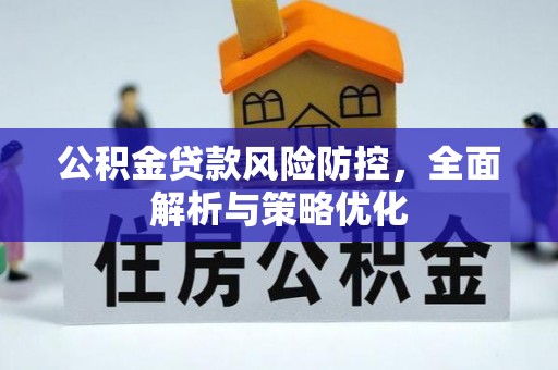 麦寮公积金贷款风险防控，全面解析与策略优化