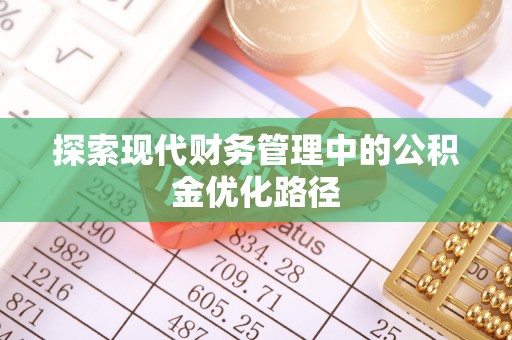 麦寮探索现代财务管理中的公积金优化路径