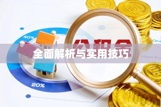麦寮全面解析与实用技巧