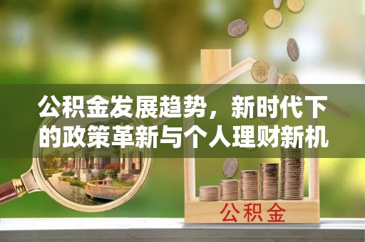 麦寮公积金发展趋势，新时代下的政策革新与个人理财新机遇