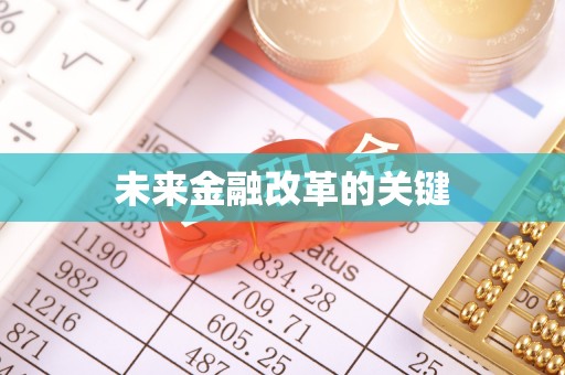 麦寮未来金融改革的关键