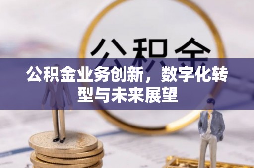 麦寮公积金业务创新，数字化转型与未来展望