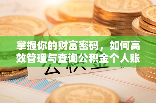 麦寮掌握你的财富密码，如何高效管理与查询公积金个人账户信息