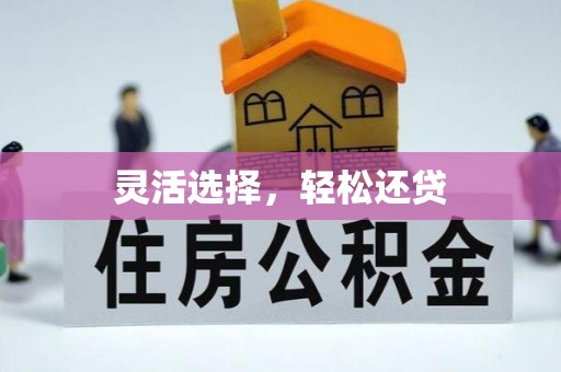 麦寮灵活选择，轻松还贷