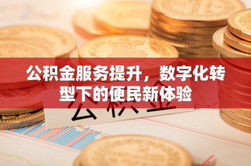 麦寮公积金服务提升，数字化转型下的便民新体验