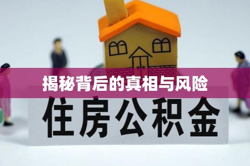 麦寮揭秘背后的真相与风险