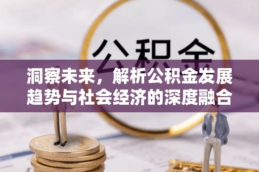 麦寮洞察未来，解析公积金发展趋势与社会经济的深度融合