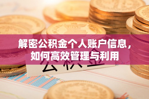 麦寮解密公积金个人账户信息，如何高效管理与利用