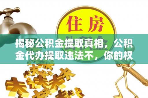 麦寮揭秘公积金提取真相，公积金代办提取违法不，你的权益如何保障？