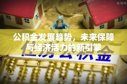 麦寮公积金发展趋势，未来保障与经济活力的新引擎