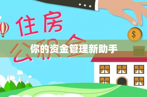 麦寮你的资金管理新助手