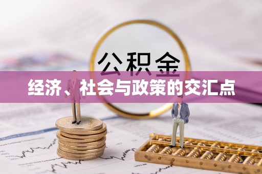 麦寮经济、社会与政策的交汇点